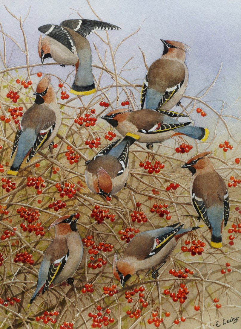 Ernest Leahy, British b.1942- ''Waxwings at Batford''; (1 of 2)