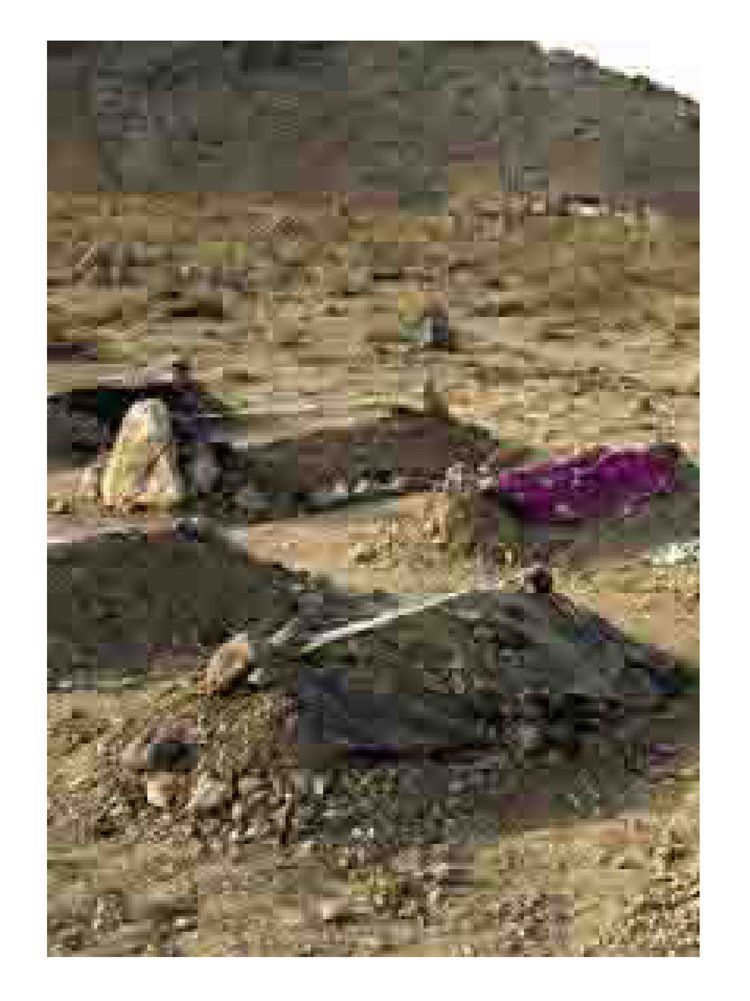 Thomas Ruff (born 1958) Jpegs 2006: Thomas Ruff (born 1958) Jpegs 2006, 2006 digital pigment print (ditone) on photo paper 48 x 36 x 0 inches: paper 121.9 x 91.4 x 0 cm 53 x 40 x 2 inches: frame 134.6 x 101.6 x 5.1 cm Edition 19/45 unfr