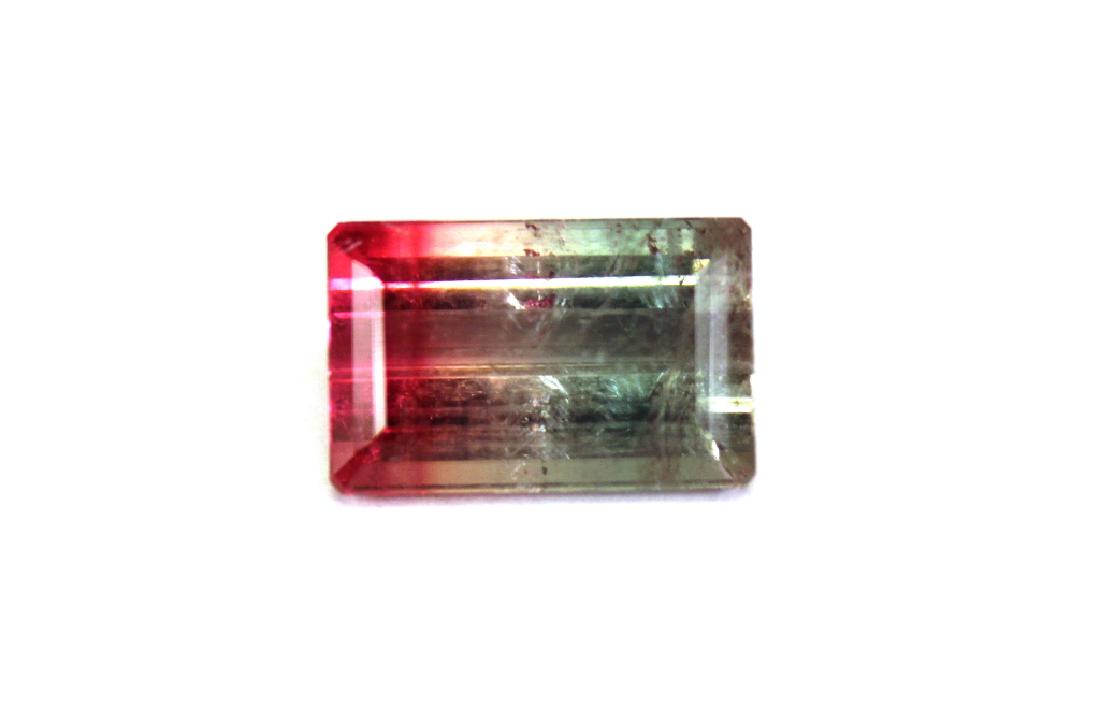 Approx 14.00 CT Bi Color Watermelon Tourmaline Gem (1 of 5)