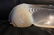 Sabino France Handled Centerpiece Bowl - 2