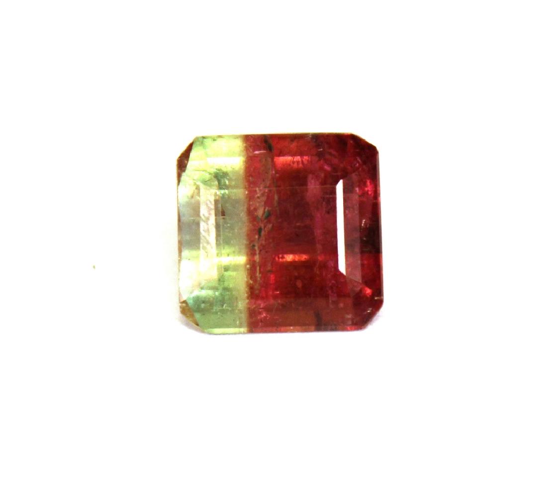 6.60 CT Bi Color Tourmaline Gemstone (1 of 4)