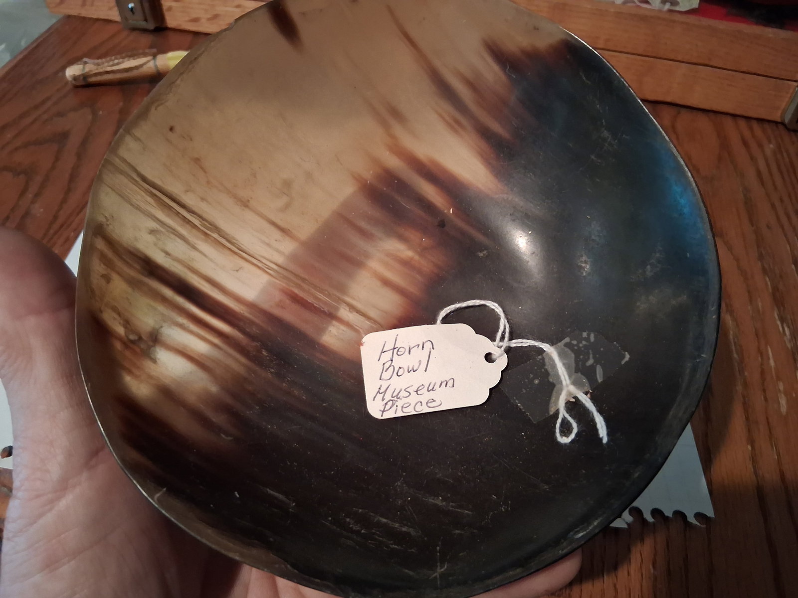 Horn Bowl: Horn bowl museum piece. Likely from prior to the 1800s or the 1800s.