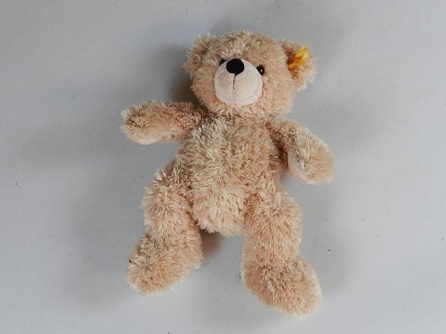 Steiff Teddy Bear: glass eyes with ear tag, 11" h