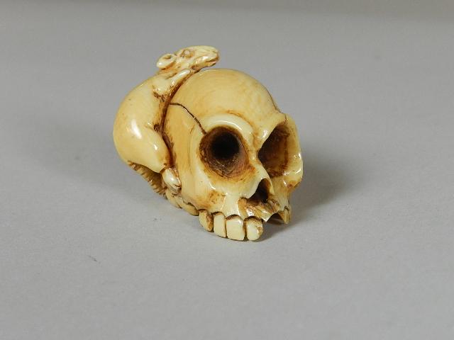 Bone Netsuke: of a skull with rat on back. Well executed and signed, minor wear, 1" h