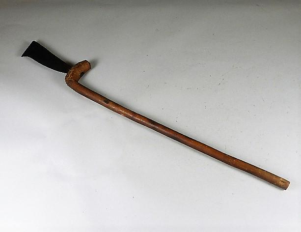 Early Tobacco Topper: blacksmith made blade, burled stick handle, 19th Century, use for cutting bloom stops from plants. 30" long