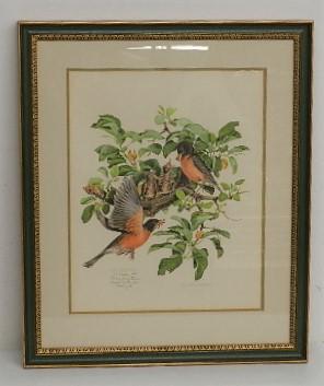 Framed Limited Edition Print of Robins by Don Whitlatch: #249/1500, signed by the artist, has COA, minor wear to frame, 24" h x 20" w