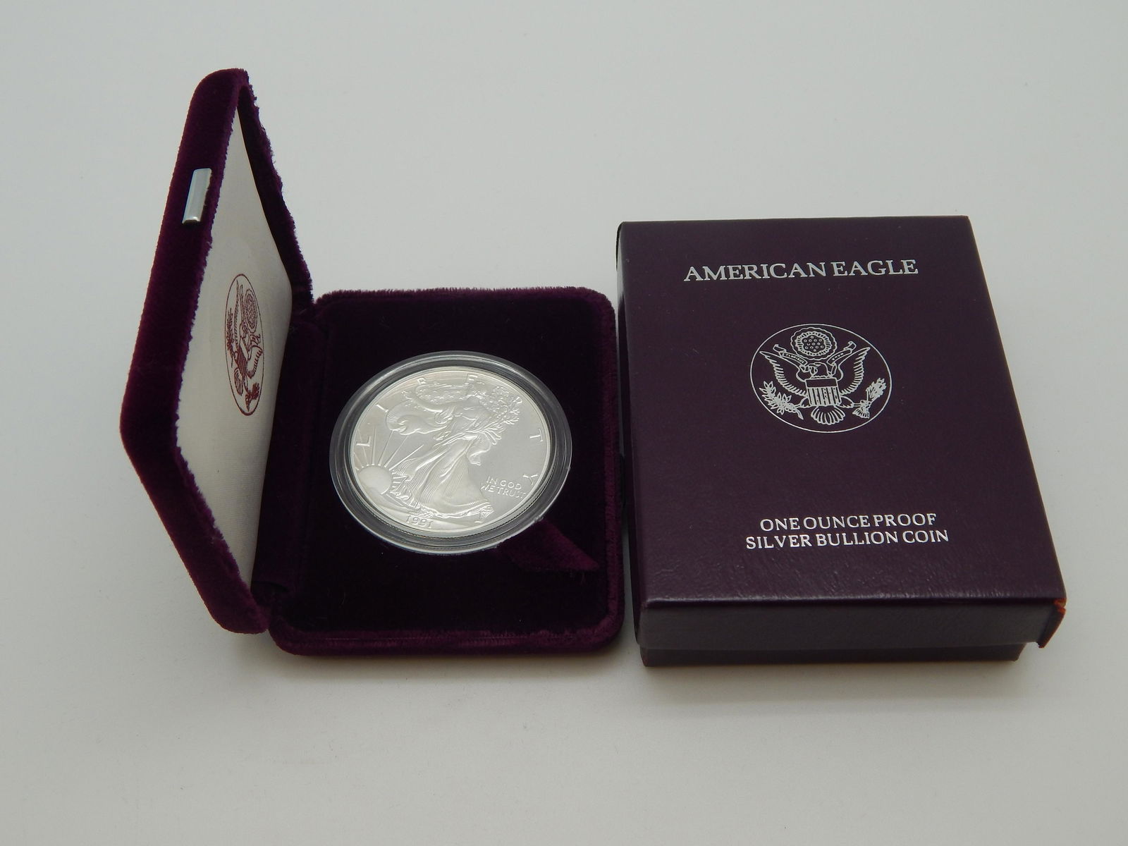 1991 Proof Silver Eagle (1 of 1)