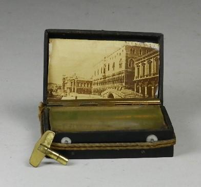 Rare Traveling Music Box in a Gutta Percha Case (1 of 6)