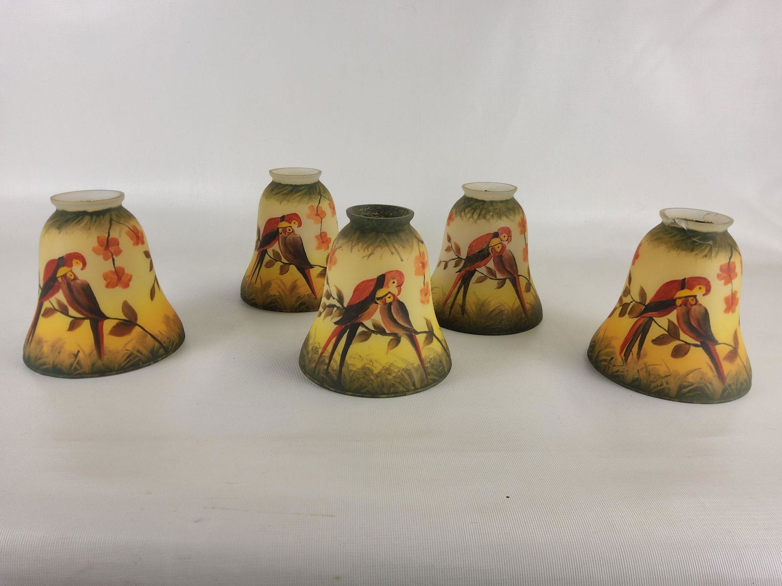 Five Reversed Painted Parrot Light Globes (1 of 5)