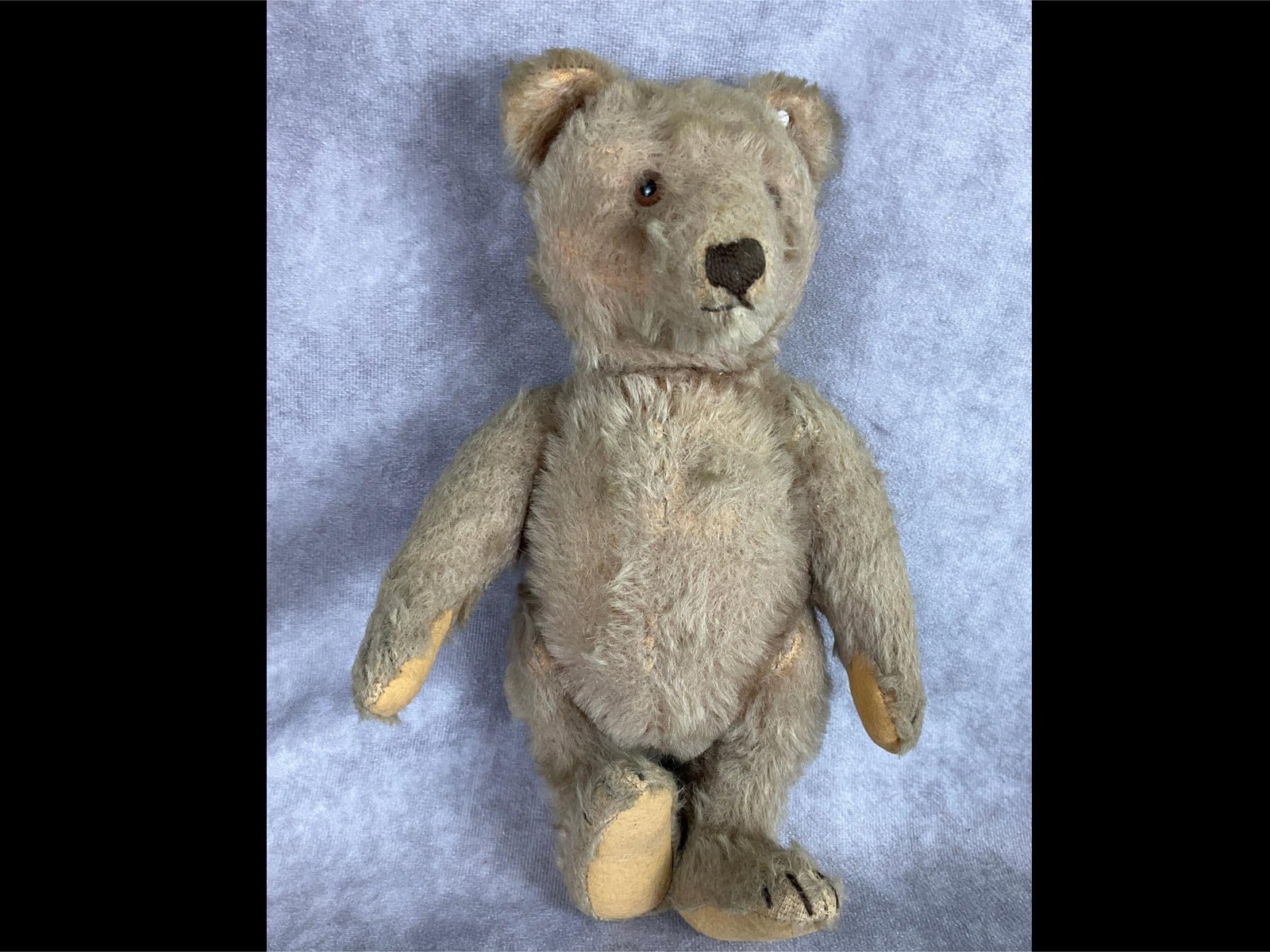 Steiff Articulated Blond Teddy Bear: Head, arms, and legs move. Metal Steiff ear button. Likely circa 1950. Has lost some of his mohair covering. Brown glass eyes. Cone nose. Appears to have had some home repaired stitching at joints. 10