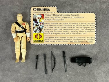 1984 Storm Shadow