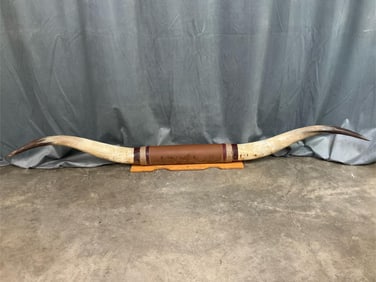 Longhorns