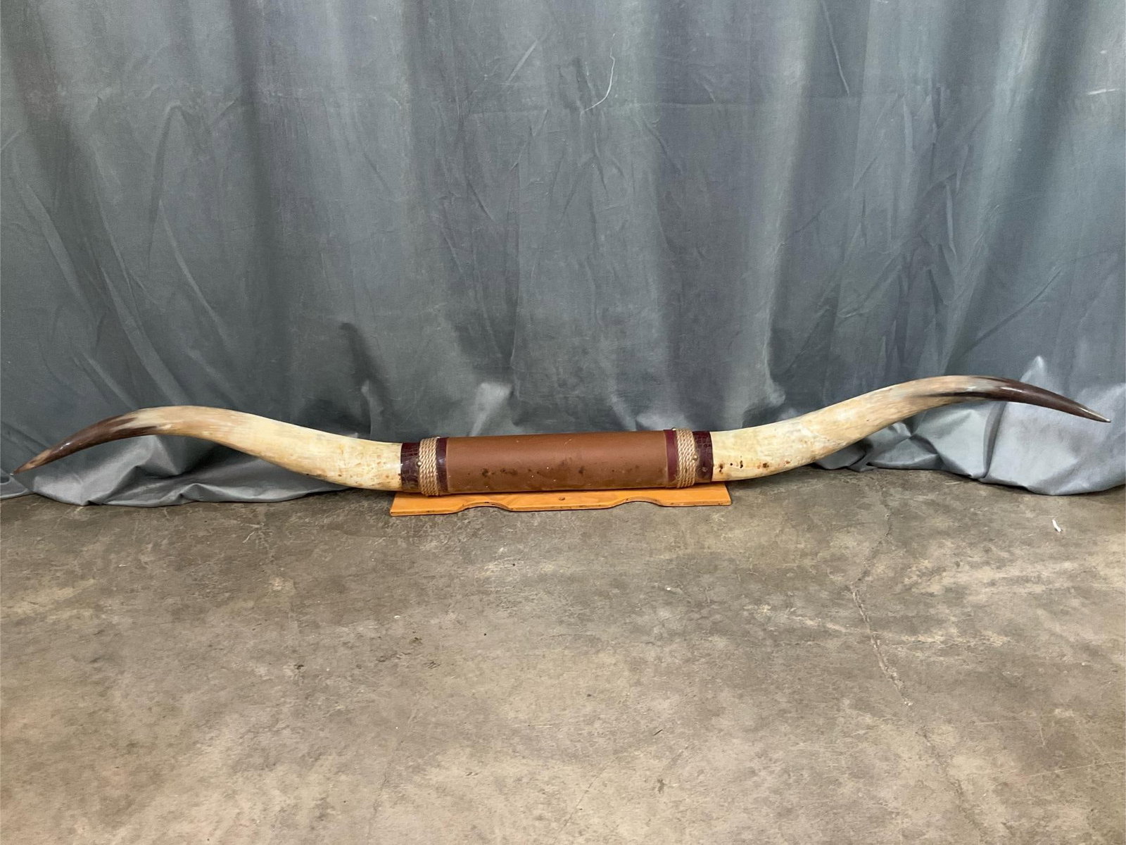 Longhorns: Brown and maroon leather mount marbled longhorns. Scuffs to leather. Measures 69.5 inches long x 10 inches tall.