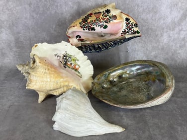 Hand Painted Shells & More