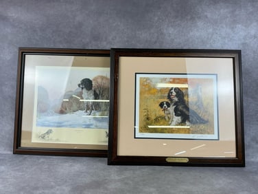 Springer Spaniel Framed Prints