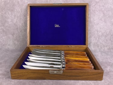 Case Stainless Steel Cutlery Set