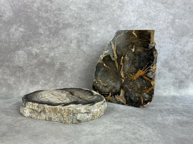 Petrified Wood