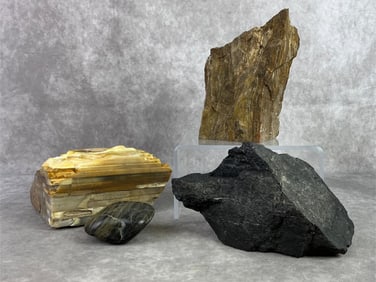 Petrified Wood & More