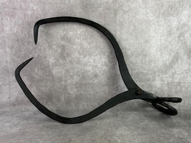 Ice Tongs