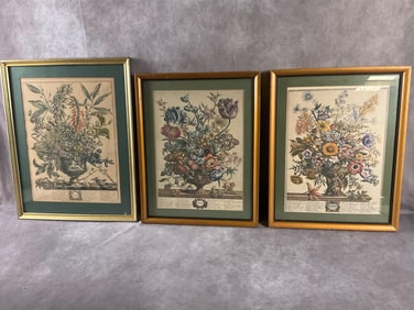 Seed Catalog Engravings