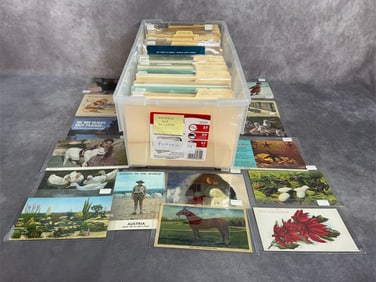 Approximately 250 Postcards
