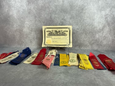 Railroad Stock Certificate & Fair Ribbons