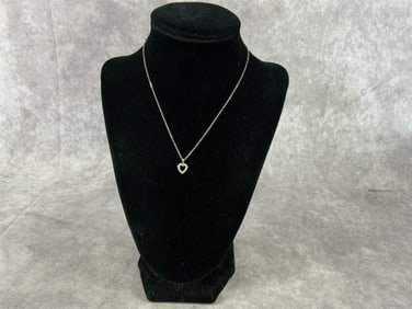 14k White Gold Chain & Pendant