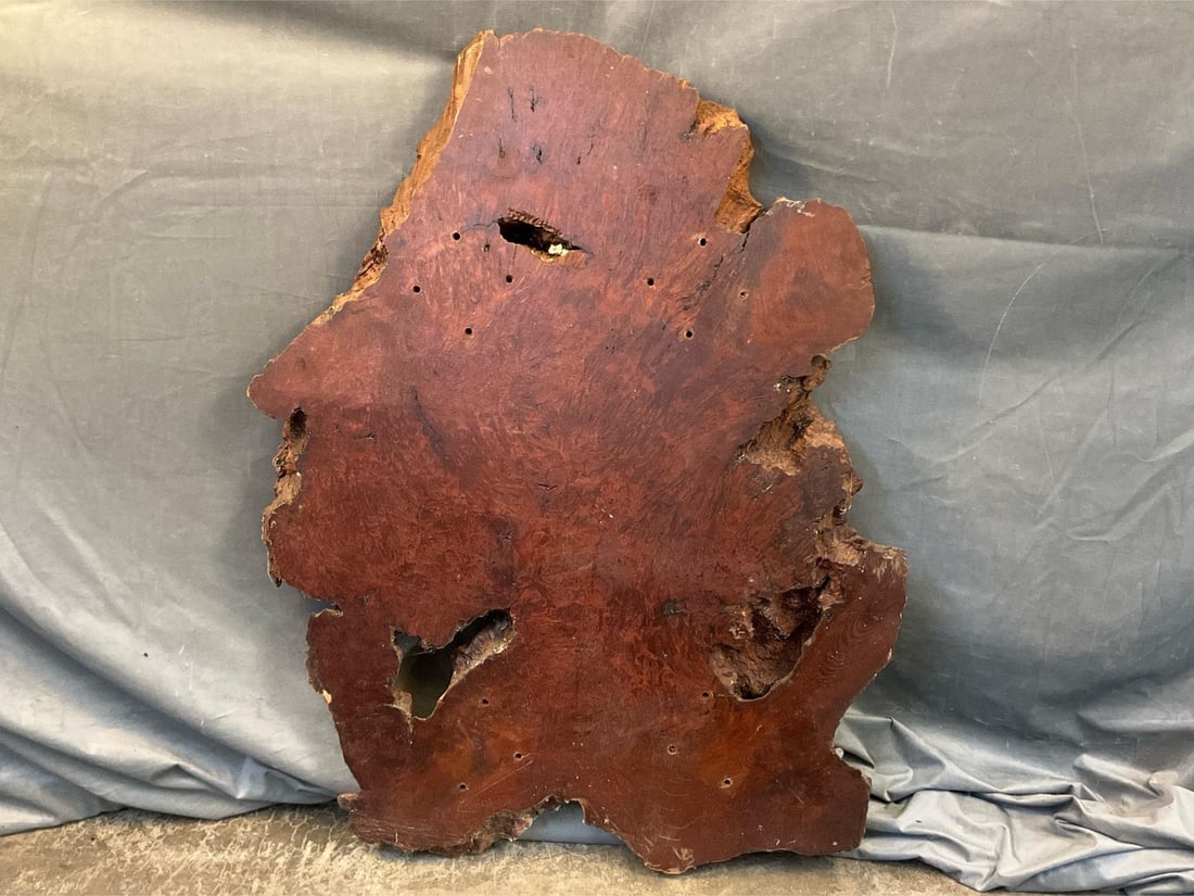 Burl Maple Slab: Live edge cut slab of burl maple for furniture crafting etc. measures 31.5 inches wide x 3.5 x 42.5 inches tall.