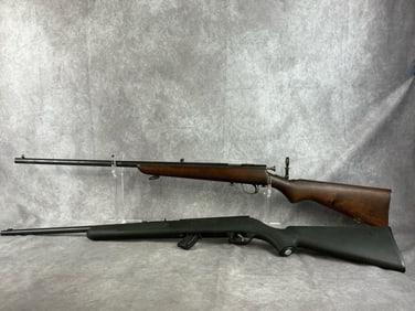 Two 22LR Rifles