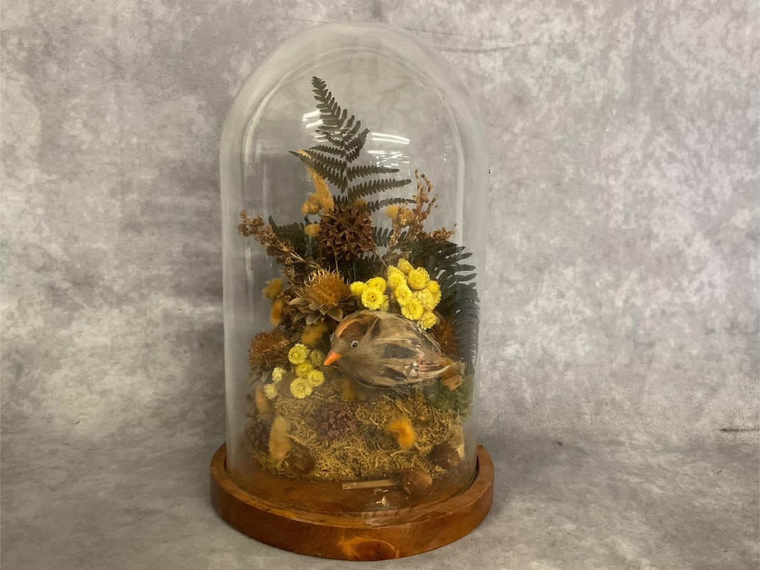 Mid century modern dried floral cloche with faux bird inside, appears to be handmade and in good