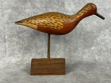 Will E. Kirkpatrick Shorebird