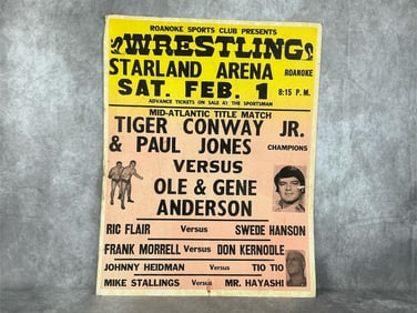 Professional Wrestling Poster