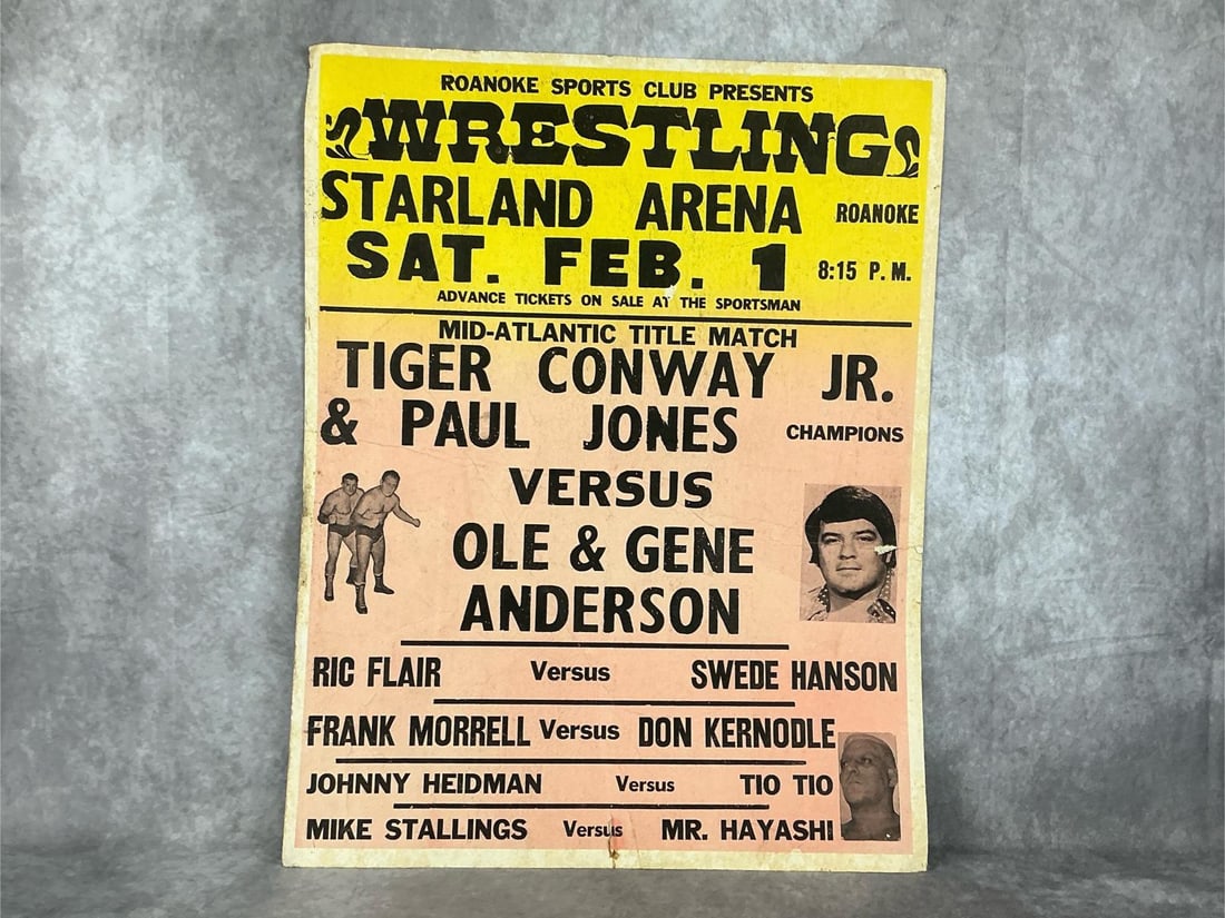 Professional Wrestling Poster (1 of 8)