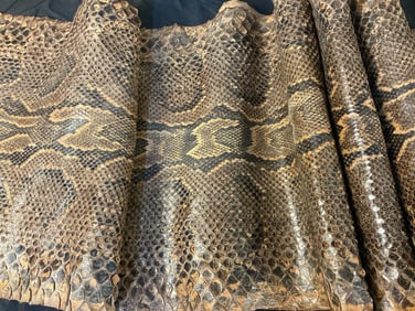 Python Tanned Snake Skin
