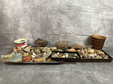 Fossil & Rock Collection