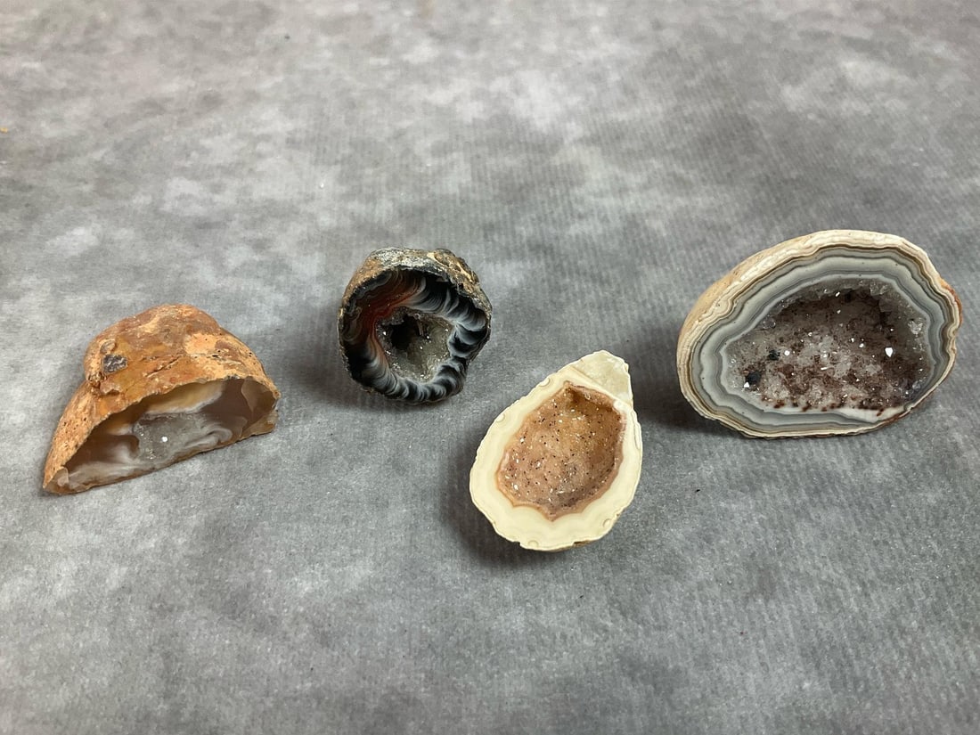Agate Geodes & Turbo Shell - 2