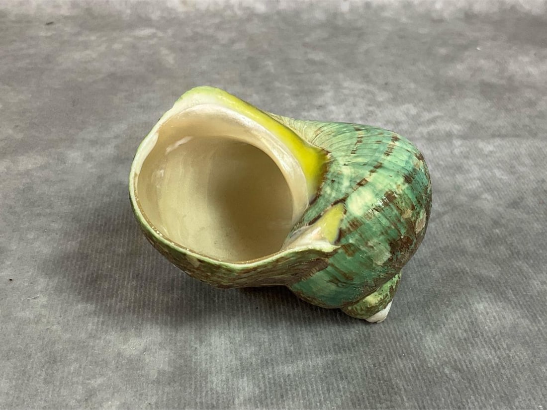 Agate Geodes & Turbo Shell - 7