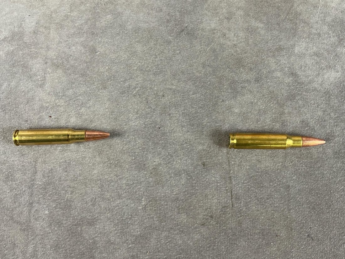 Fusion 308 Win, Ammunition - 4