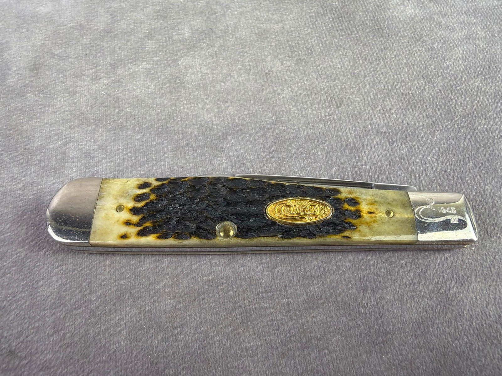 Case XX Knife Cheetah - 5