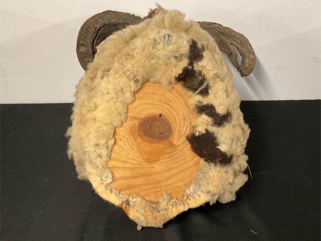 Ram Shoulder Mount - 6