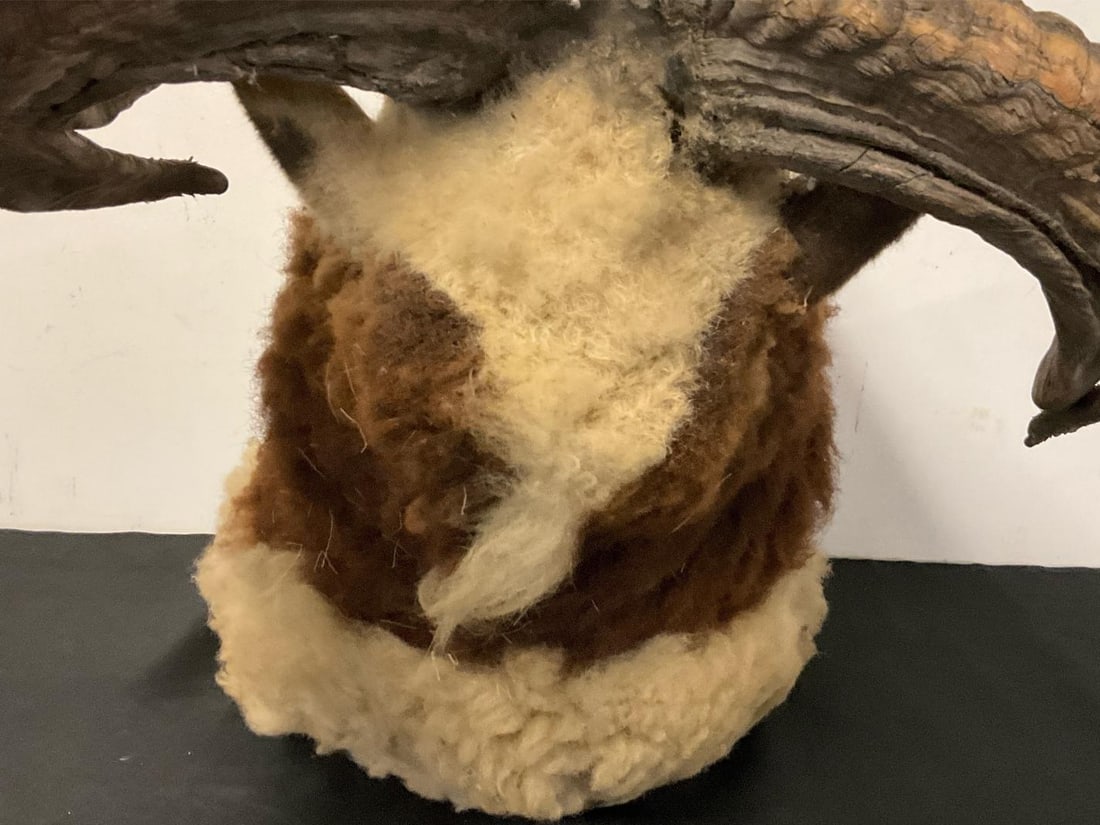 Ram Shoulder Mount - 7