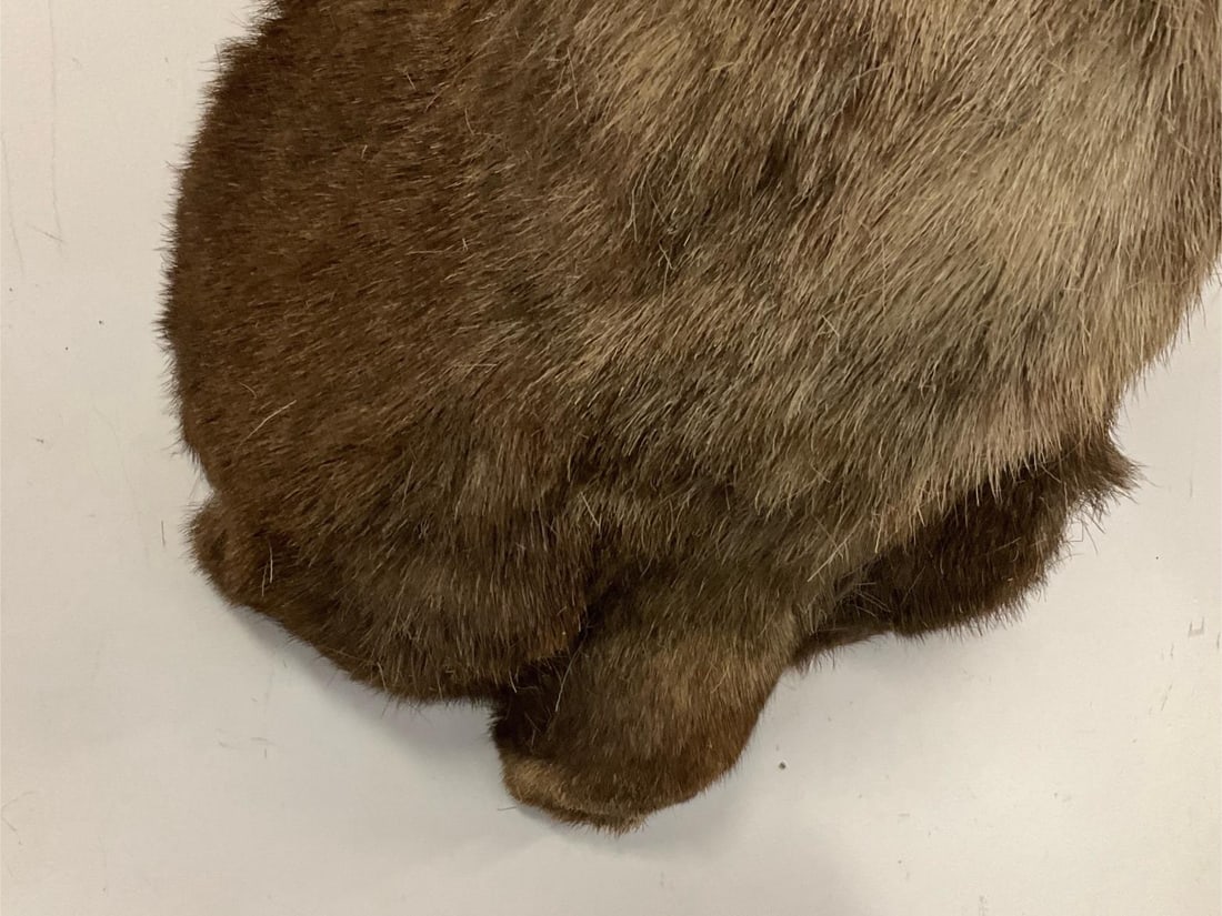 Big Horn Ram Mount - 10