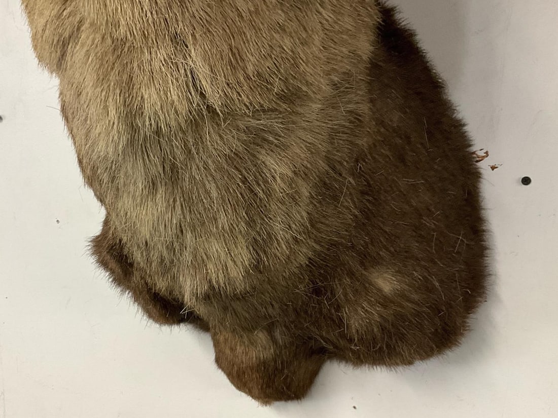 Big Horn Ram Mount - 6