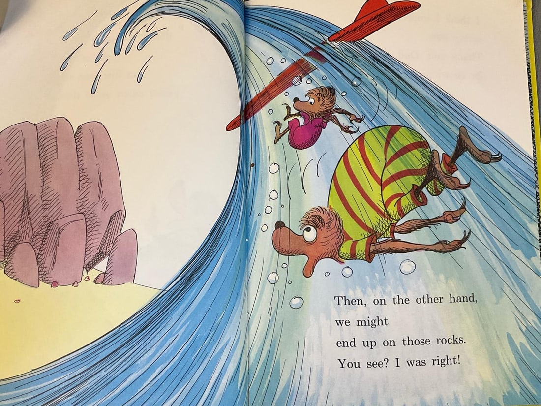 Dr. Seuss Books - 11