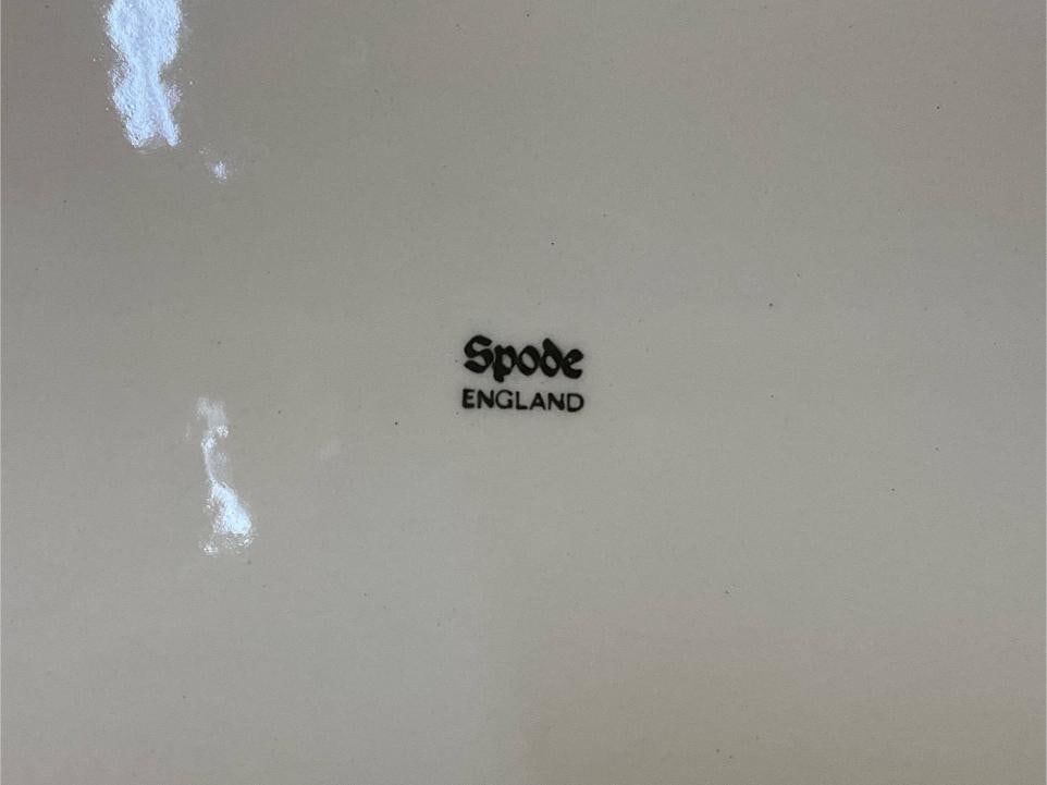 Spode - 8