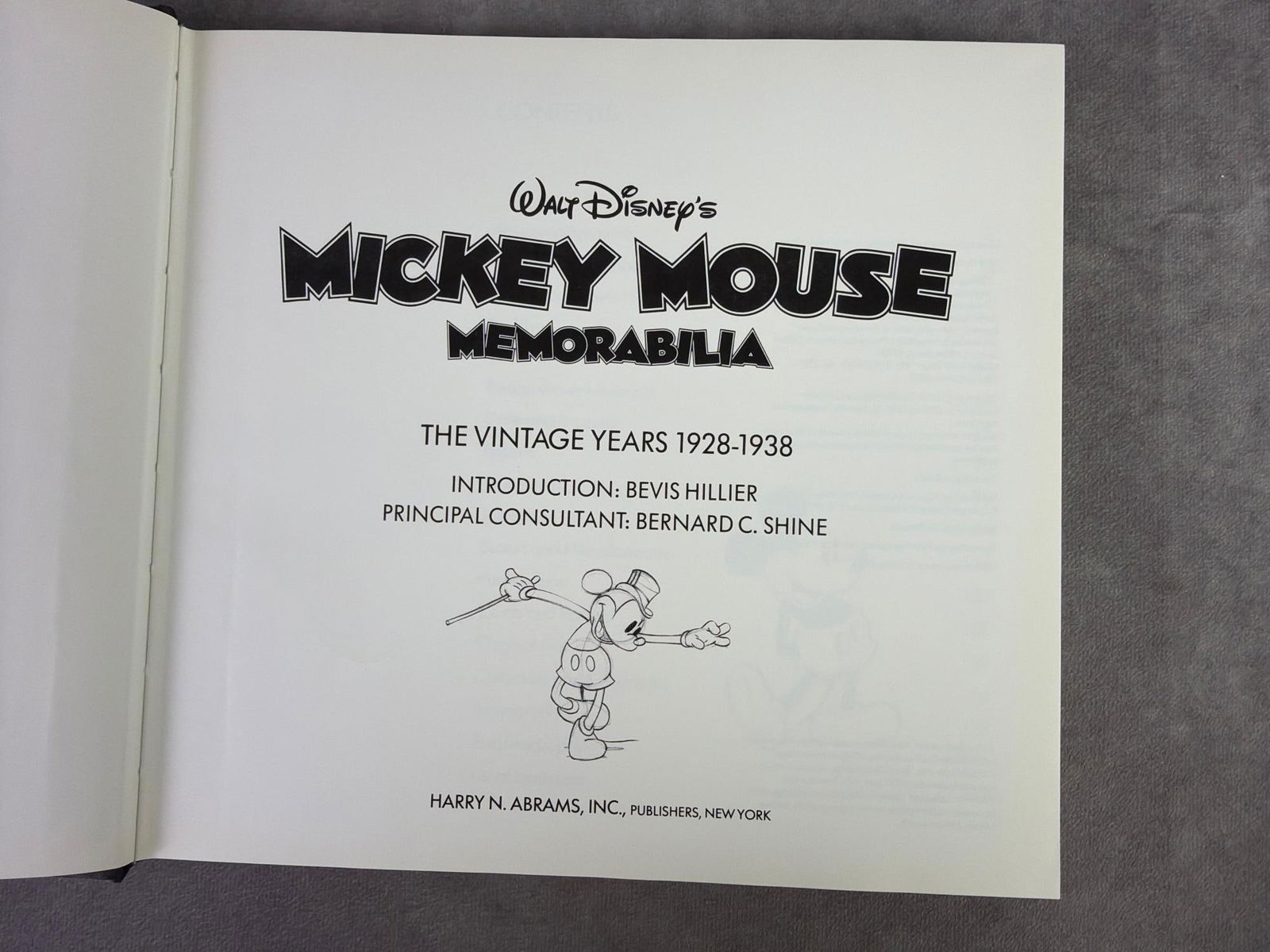 Disney & Peter Rabbit Finds - 9