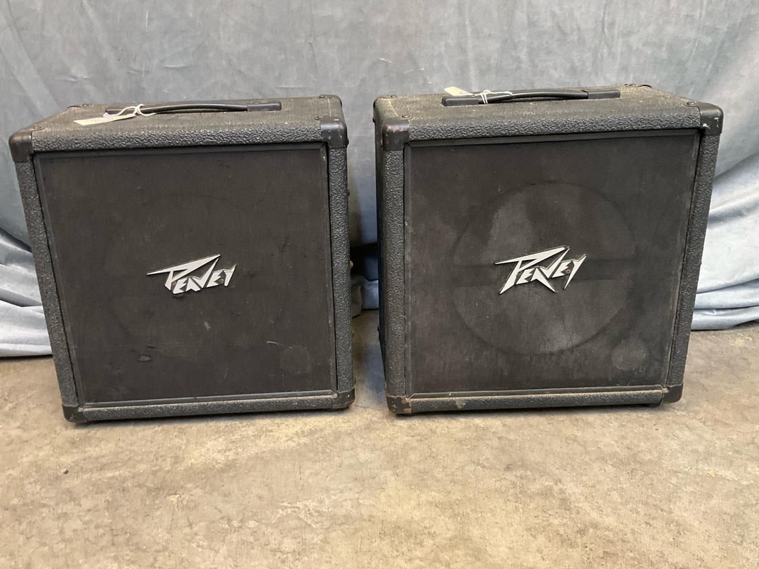 Peavey Speakers Pair