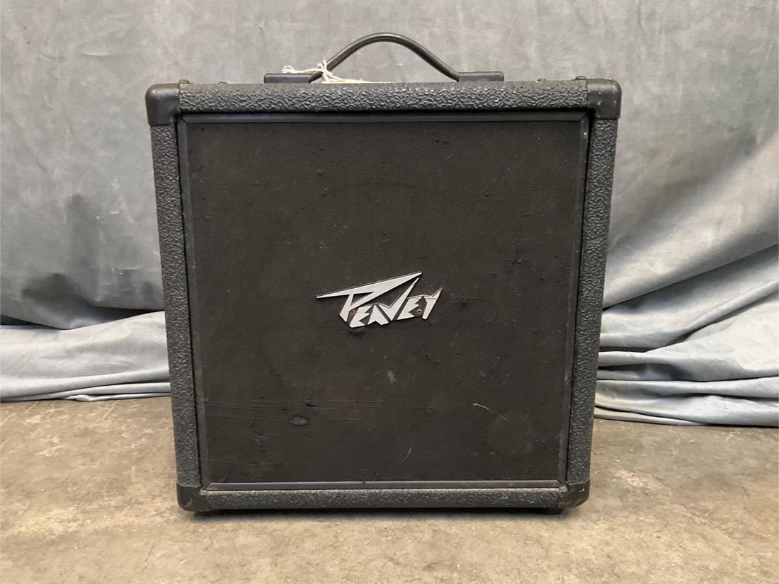 Peavey Speakers Pair - 2