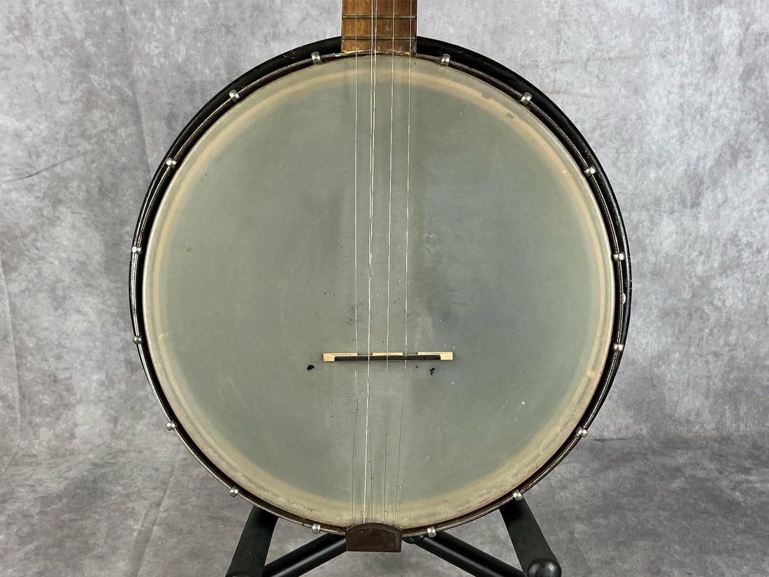 Silvertone Banjo - 3