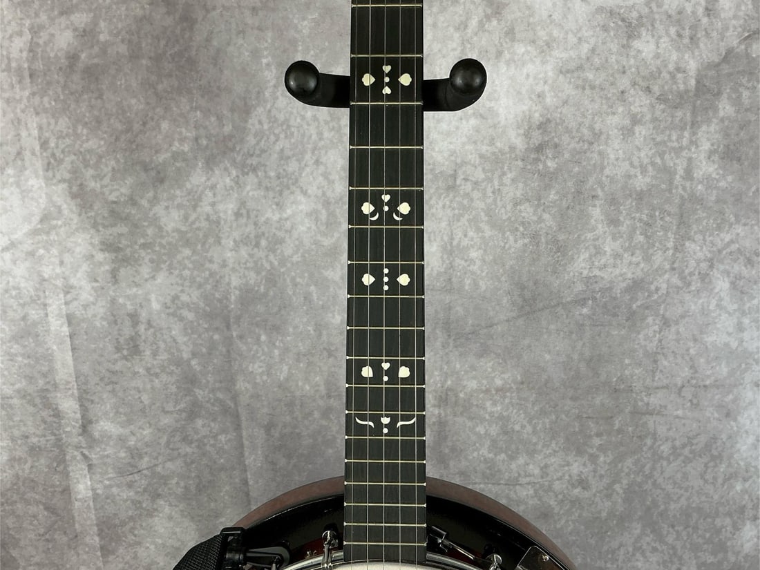Danville Banjo - 5